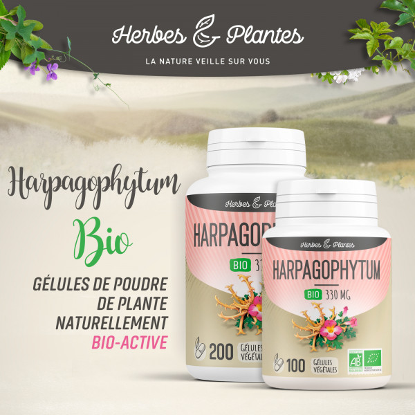 Harpagophytum Bio - 330 mg - Gélules végétales