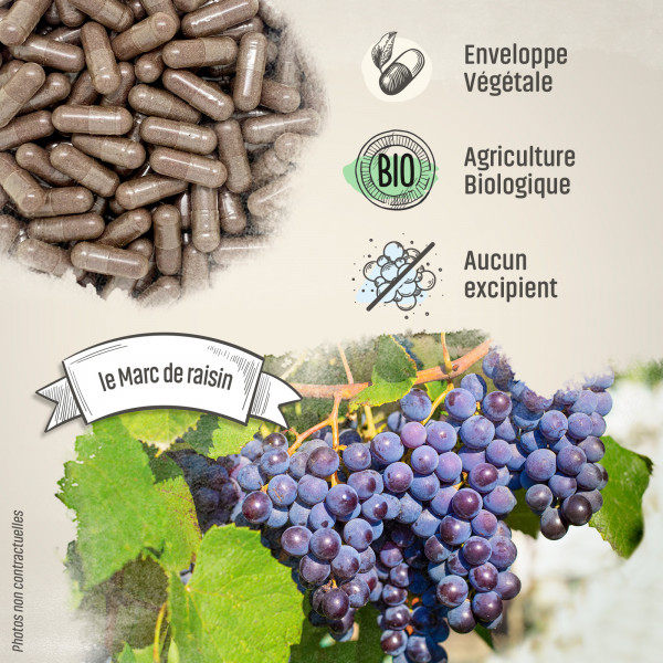 Marc de raisin Bio - 360 mg - Gélules végétales