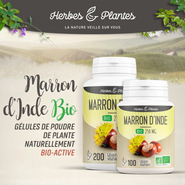 Marron d'Inde Bio - 250 mg - Gélules végétales