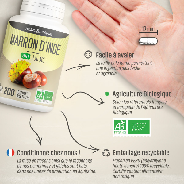 Marron d'Inde Bio - 250 mg - Gélules végétales