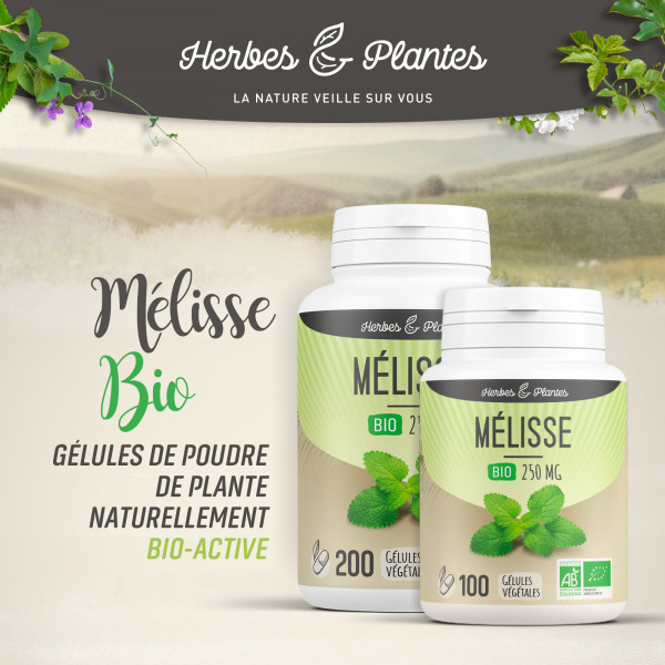 Mélisse Bio - 250 mg - Gélules végétales