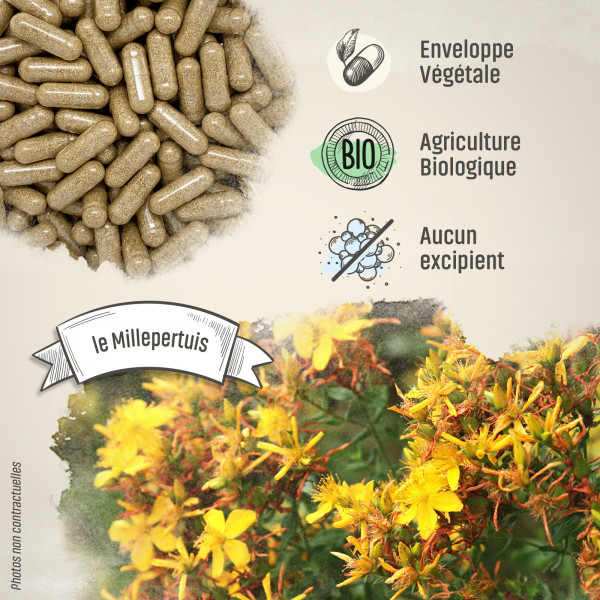 Millepertuis Bio - 250 mg - Gélules végétales