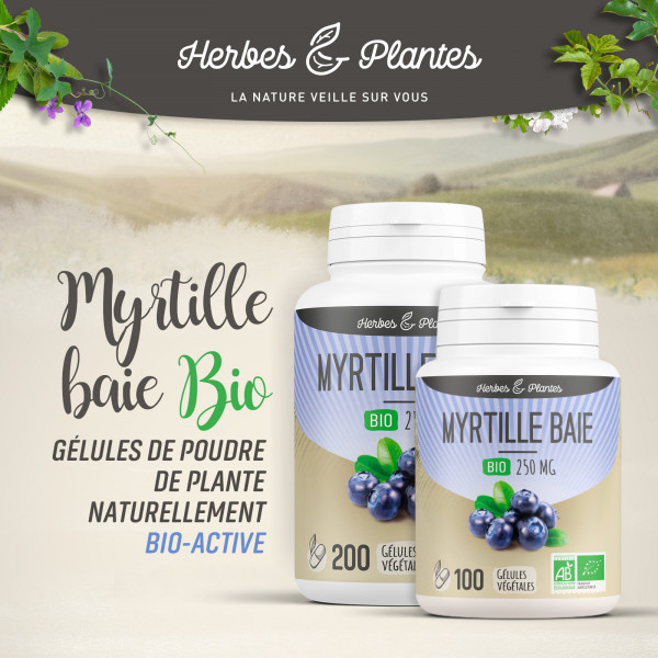 Myrtille baie Bio - 250 mg - Gélules végétales