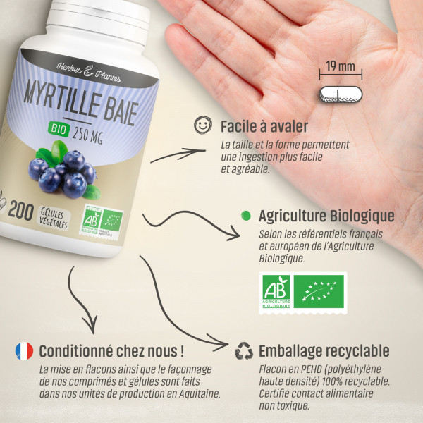 Myrtille baie Bio - 250 mg - Gélules végétales