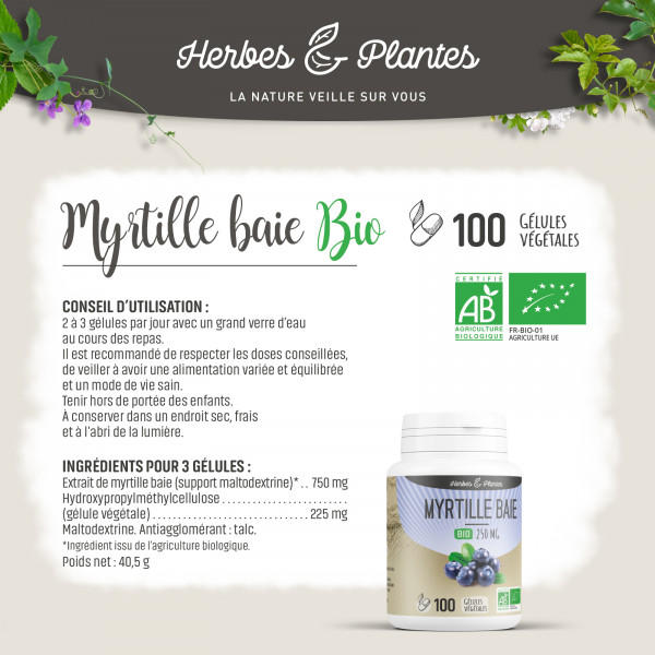 Myrtille baie Bio - 250 mg - Gélules végétales