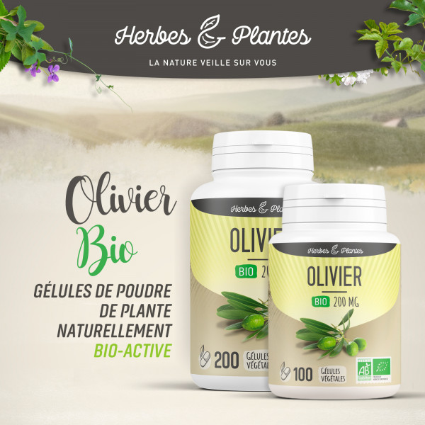 Olivier Bio - 200 mg - Gélules végétales