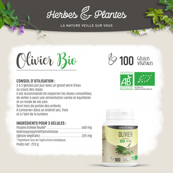 Olivier Bio - 200 mg - Gélules végétales