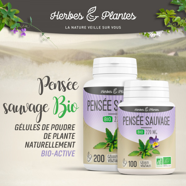 Pensée sauvage Bio - 220 mg - Gélules végétales