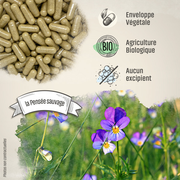 Pensée sauvage Bio - 220 mg - Gélules végétales