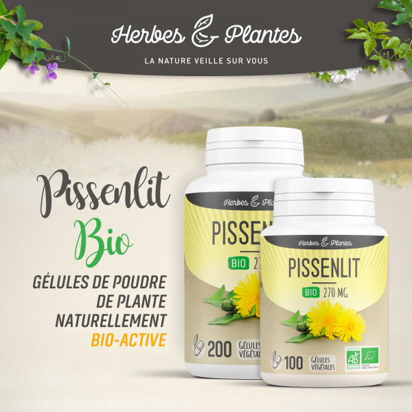 Pissenlit Bio - 270 mg - Gélules végétales