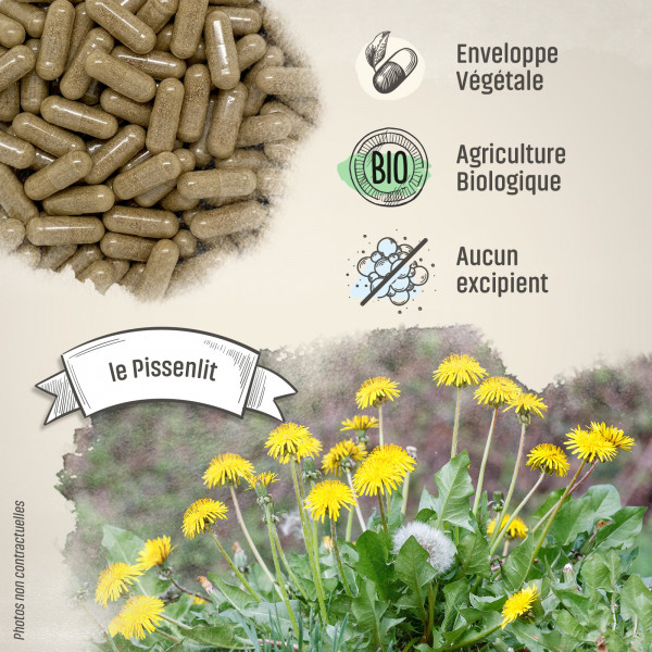 Pissenlit Bio - 270 mg - Gélules végétales