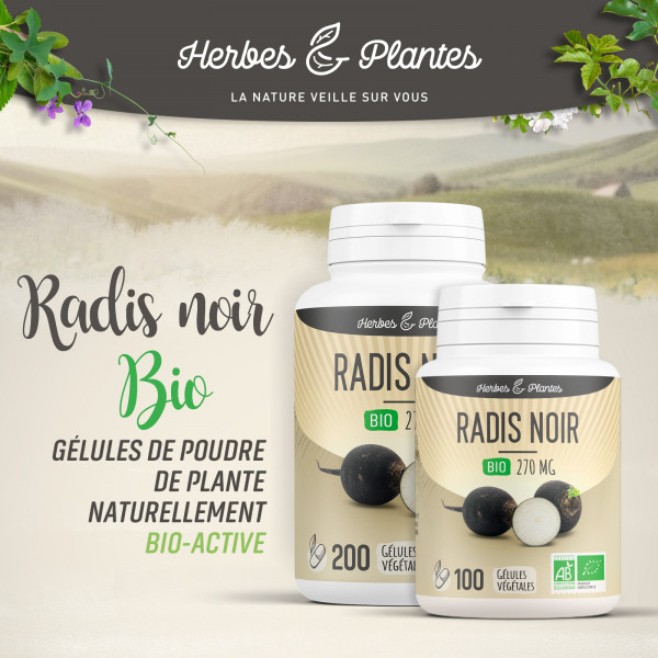 Radis noir Bio - 270 mg - Gélules végétales