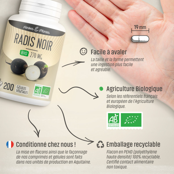 Radis noir Bio - 270 mg - Gélules végétales