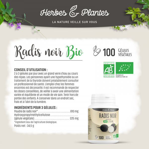 Radis noir Bio - 270 mg - Gélules végétales