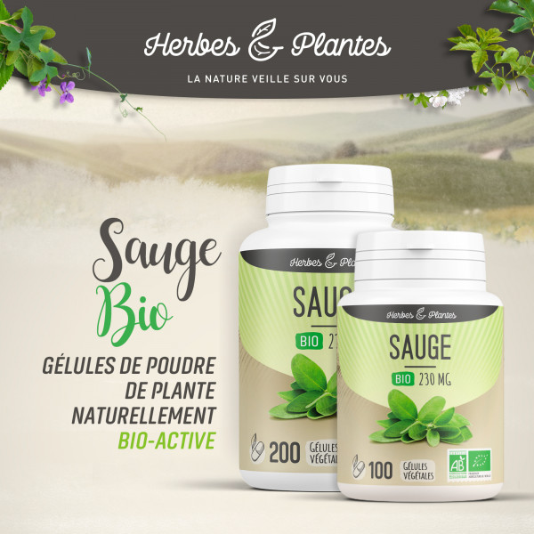 Sauge Bio - 230 mg - Gélules végétales
