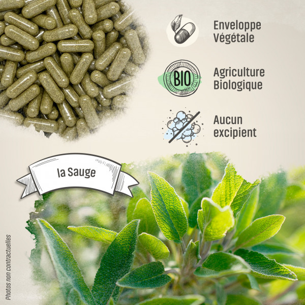 Sauge Bio - 230 mg - Gélules végétales