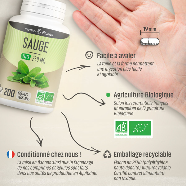 Sauge Bio - 230 mg - Gélules végétales