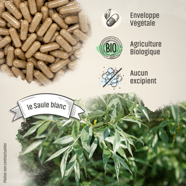 Saule blanc Bio - 200 mg - Gélules végétales
