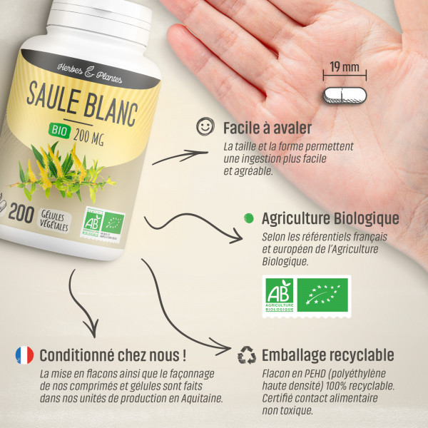 Saule blanc Bio - 200 mg - Gélules végétales