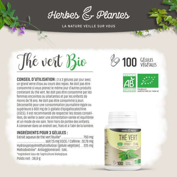 Thé vert Bio - extrait aqueux - 250 mg - Gélules végétales