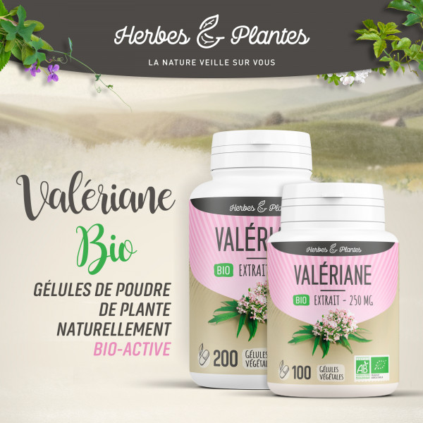 Valériane Bio - extrait aqueux - 250 mg - Gélules végétales
