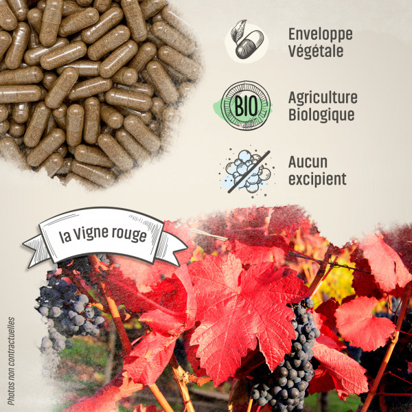 Vigne Rouge Bio - 250 mg - Gélules végétales