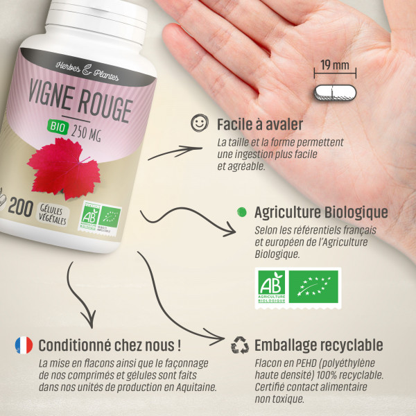 Vigne Rouge Bio - 250 mg - Gélules végétales