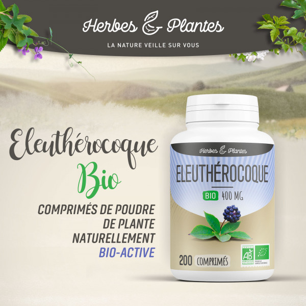 Eleuthérocoque Bio - 400 mg - 200 comprimés - H&P