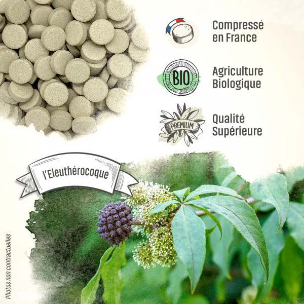 Eleuthérocoque Bio - 400 mg - 200 comprimés - H&P
