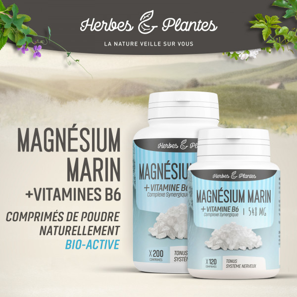 Magnésium marin + Vitamine B6 - 548 mg - comprimés - H&P