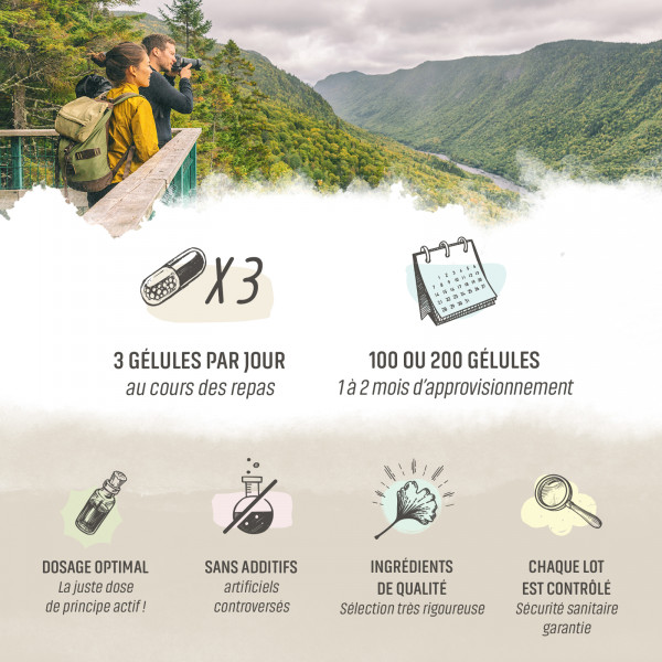 Curcuma Bio - 250 mg - Gélules végétales
