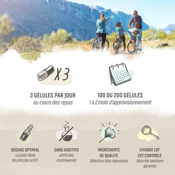 Mélisse Bio - 250 mg - Gélules végétales
