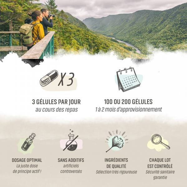 Olivier Bio - 200 mg - Gélules végétales