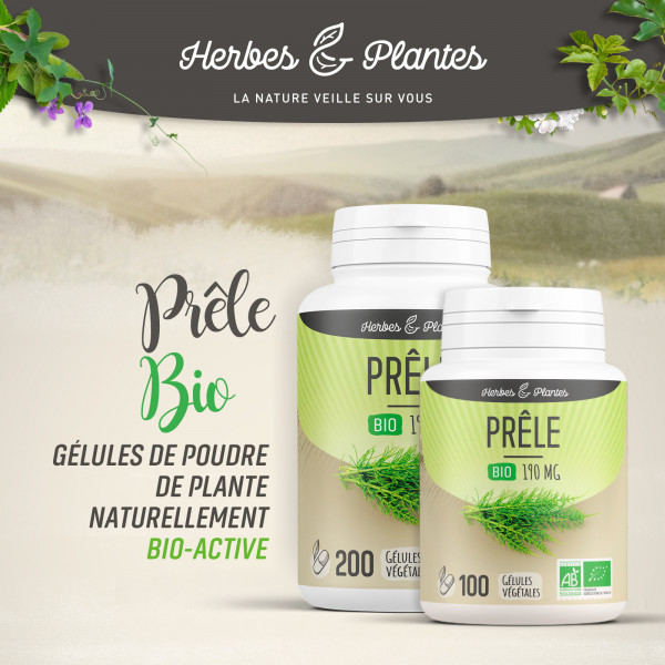 Prêle Bio - 190 mg - Gélules végétales