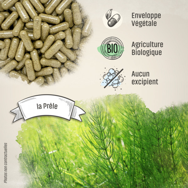 Prêle Bio - 190 mg - Gélules végétales