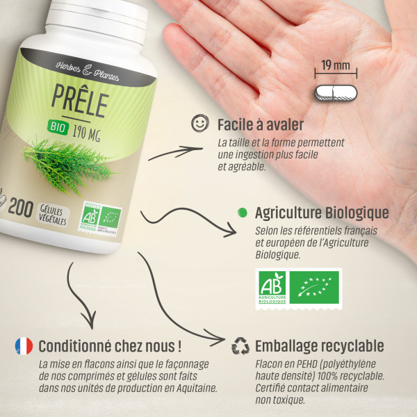 Prêle Bio - 190 mg - Gélules végétales
