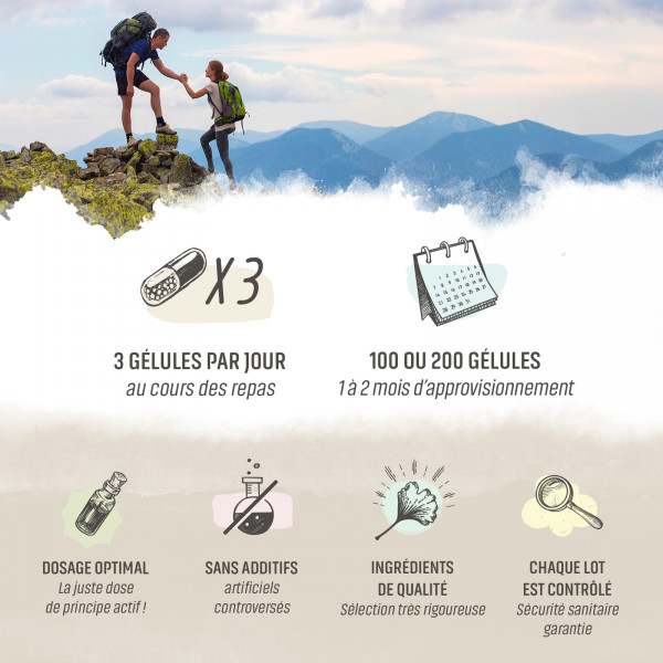 Thé vert Bio - extrait aqueux - 250 mg - Gélules végétales