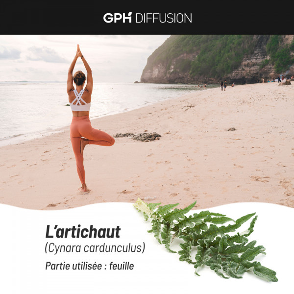 Artichaut Biologique - 200 mg
