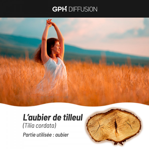 Aubier de Tilleul biologique 220 mg