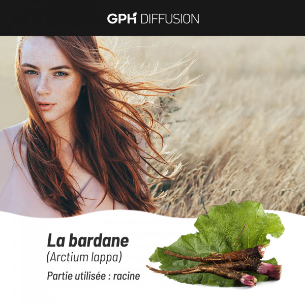 Bardane racine biologique 250 mg