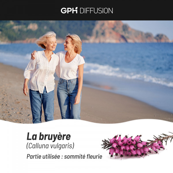 Bruyère Bio 230 mg - 200 gélules végétales