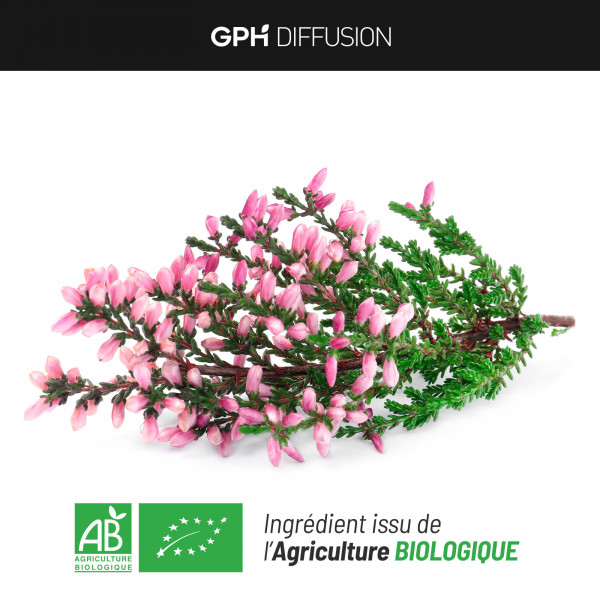 Bruyère Bio 230 mg - 200 gélules végétales