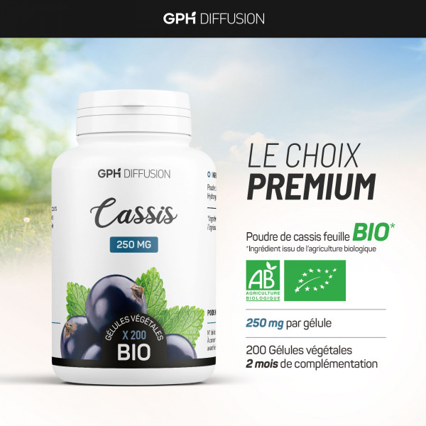 Cassis feuille biologique 250 mg