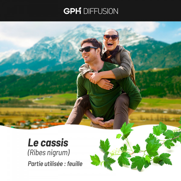 Cassis feuille biologique 250 mg