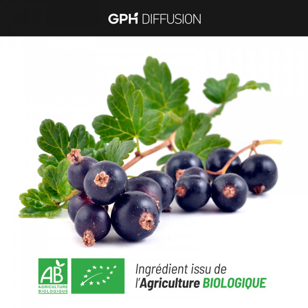 Cassis feuille biologique 250 mg