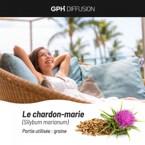 Chardon Marie biologique 300 mg