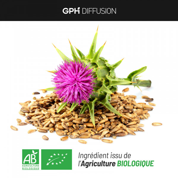 Chardon Marie biologique 300 mg
