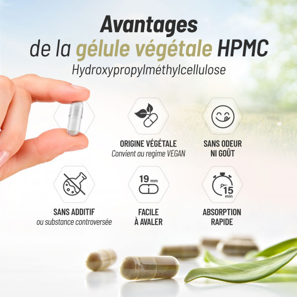 Curcuma Bio et Poivre Noir Bio - 300 mg - 200 gélules végétales