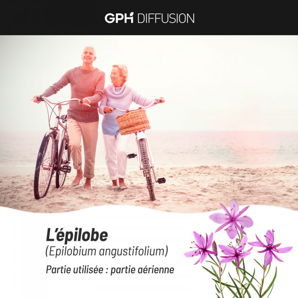 Epilobe 200 mg