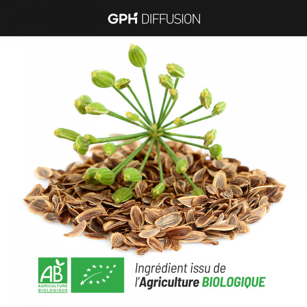 Fenouil Bio 300mg - 200 gélules végétales
